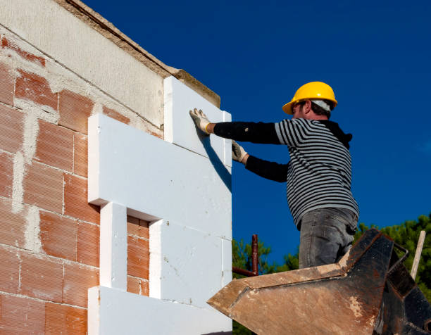 Best Eco-Friendly Insulation in Wardsville, MO