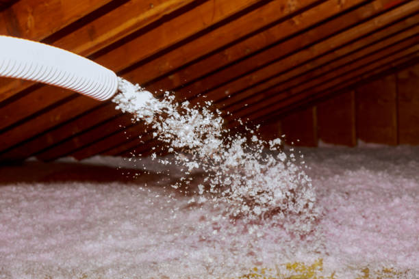 Best Insulation Maintenance and Repair in Wardsville, MO