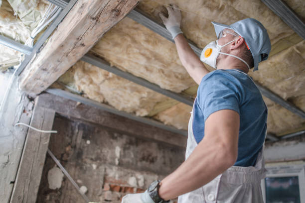 Types of Insulation We Offer in Wardsville, MO