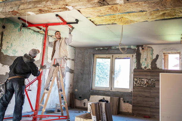 Best Spray Foam Insulation in Wardsville, MO