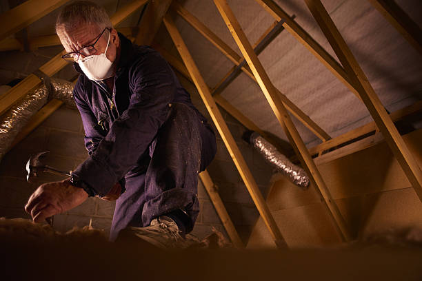 Best Blown-in Insulation in Wardsville, MO