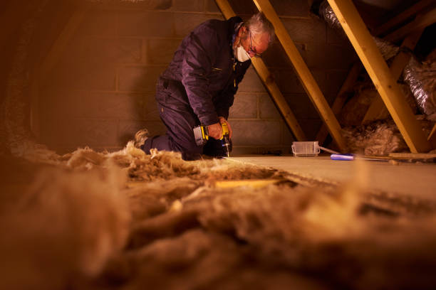 Best Fiberglass Insulation in Wardsville, MO